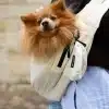 Sac de transport en bandoulière pour chien et chat de la marque Weloca