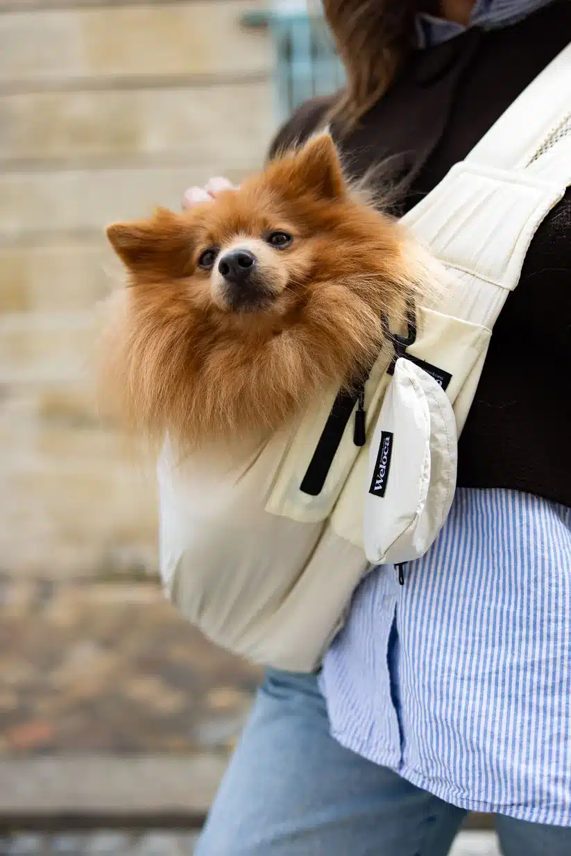 Sac de transport en bandoulière pour chien et chat de la marque Weloca